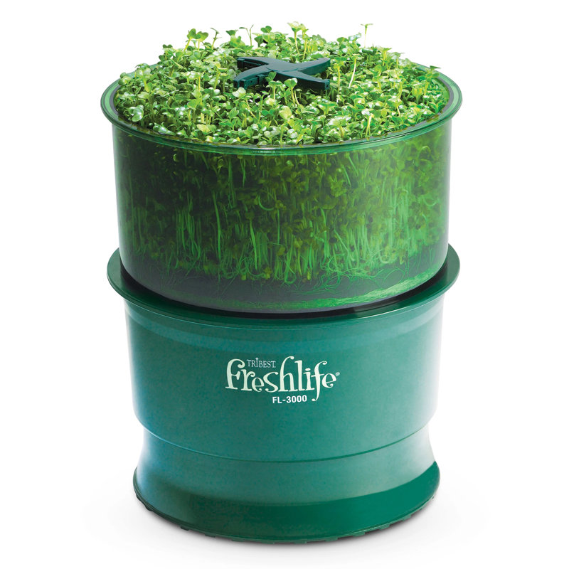 Tribest Hydroponic Unit Sprouts
