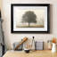 «Trees In The Fog I», reproduction encadrée de qualité supérieure - prête à être accrochée-457669456-457669463-457641819