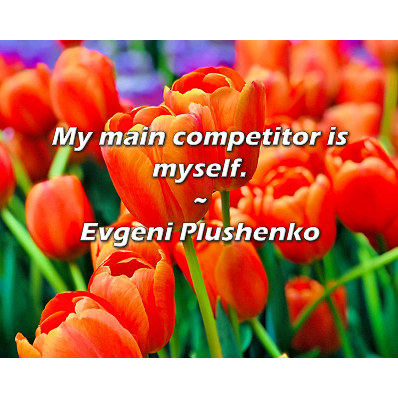 Evgeni Plushenko Quote: My main competitor is myself.