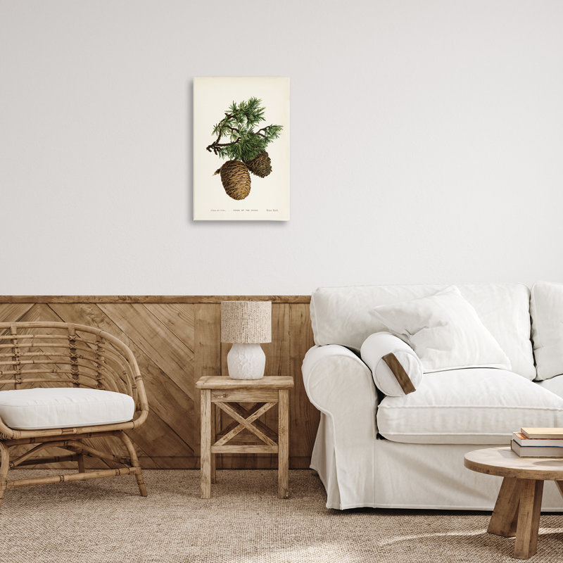  «Cedar Tree Pinecones», art mural sur toile par Tina Higgins Designs, Inc., H 24 po x l 16 po