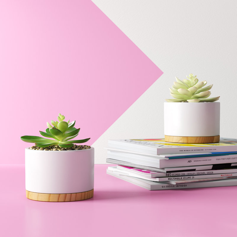 4.75'' Faux Agave Succulent in Pot, White