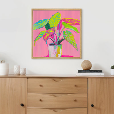 Green Plant Against Pink Background Bright Pictures