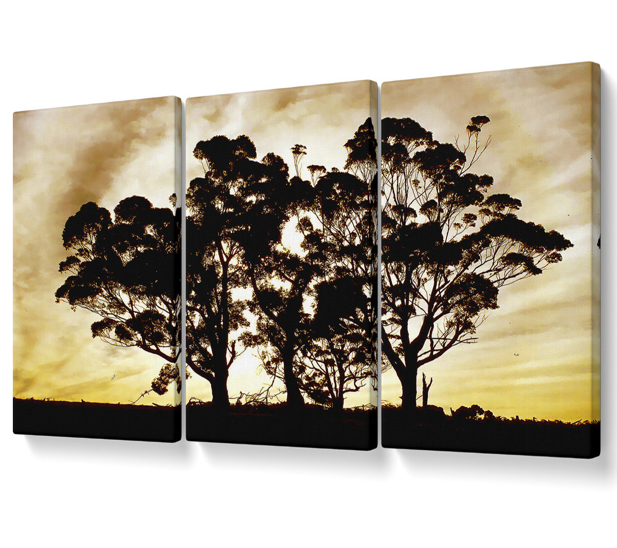 Ebern Designs Chocolate Trees - 3 Piece Wrapped Canvas Graphic Art ...