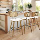 Aunjel 27" Upholstered Rattan Counter & Bar Stool