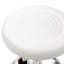 Tabouret de laboratoire à hauteur ajustable Salon-348619973