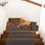 Tapis d'escalier Auberon-1591600027