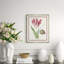 Flower, Seashell and Insect II Framed