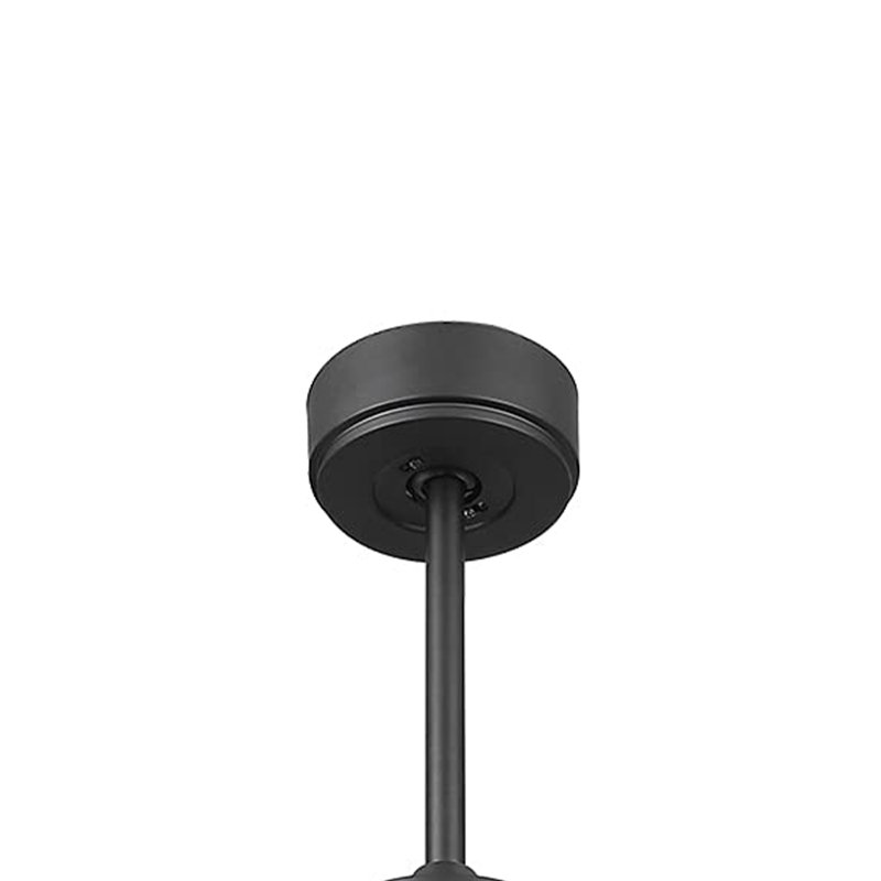 Ceiling Fan with LED Lights