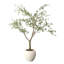 150cm Plant