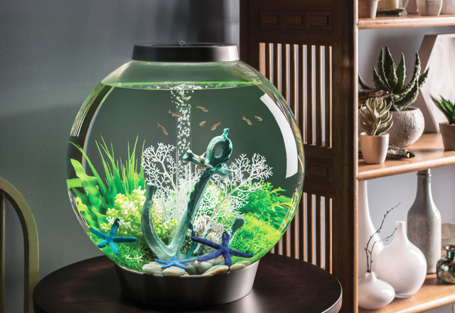 Top-Rated Freshwater Aquariums