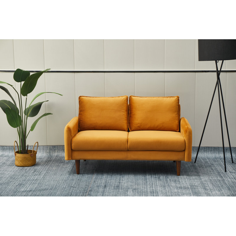 Emteas 57.3'' Velvet Loveseat, Ginger Velvet