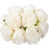 Blanc lait sélectionné