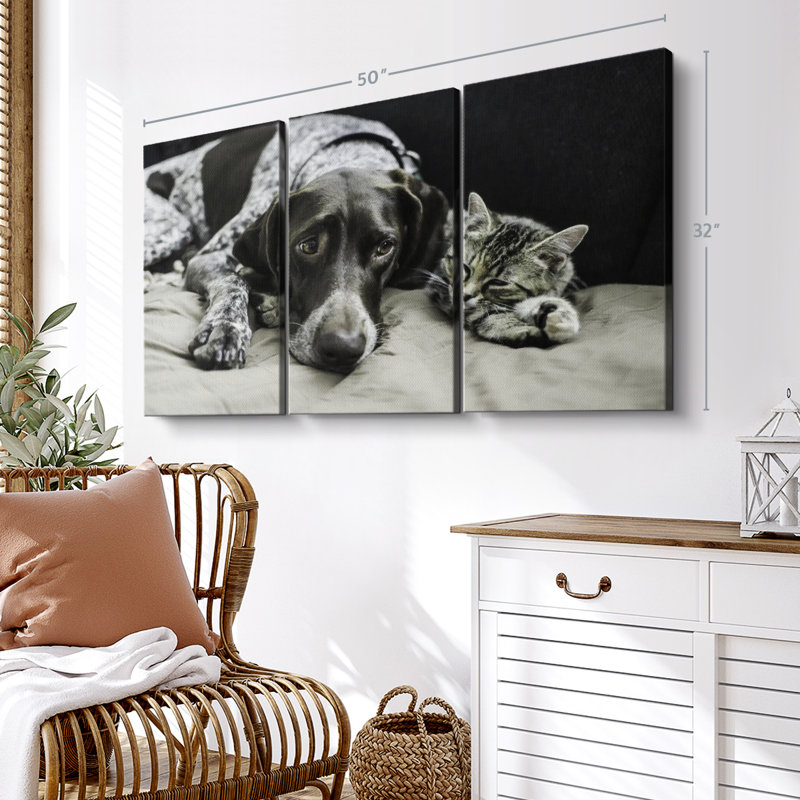 «Dog and Cat Friends» sur toile, H 32 po x l 50 po