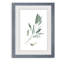 « simple sage i »-cadre photo imprimé sur verre-343747208-343747216