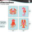 Ensemble de 4 giclées encadrées Bright Sea Creatures on Stripes, design par Indira Prieto | IndySign-775263247-775263244