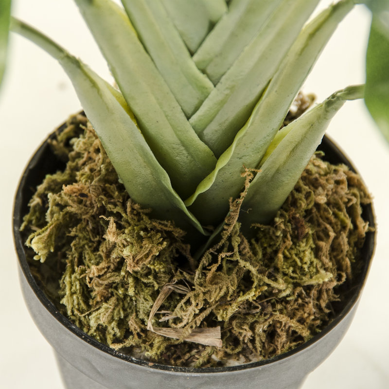 Faux plantes de palmier en pot
