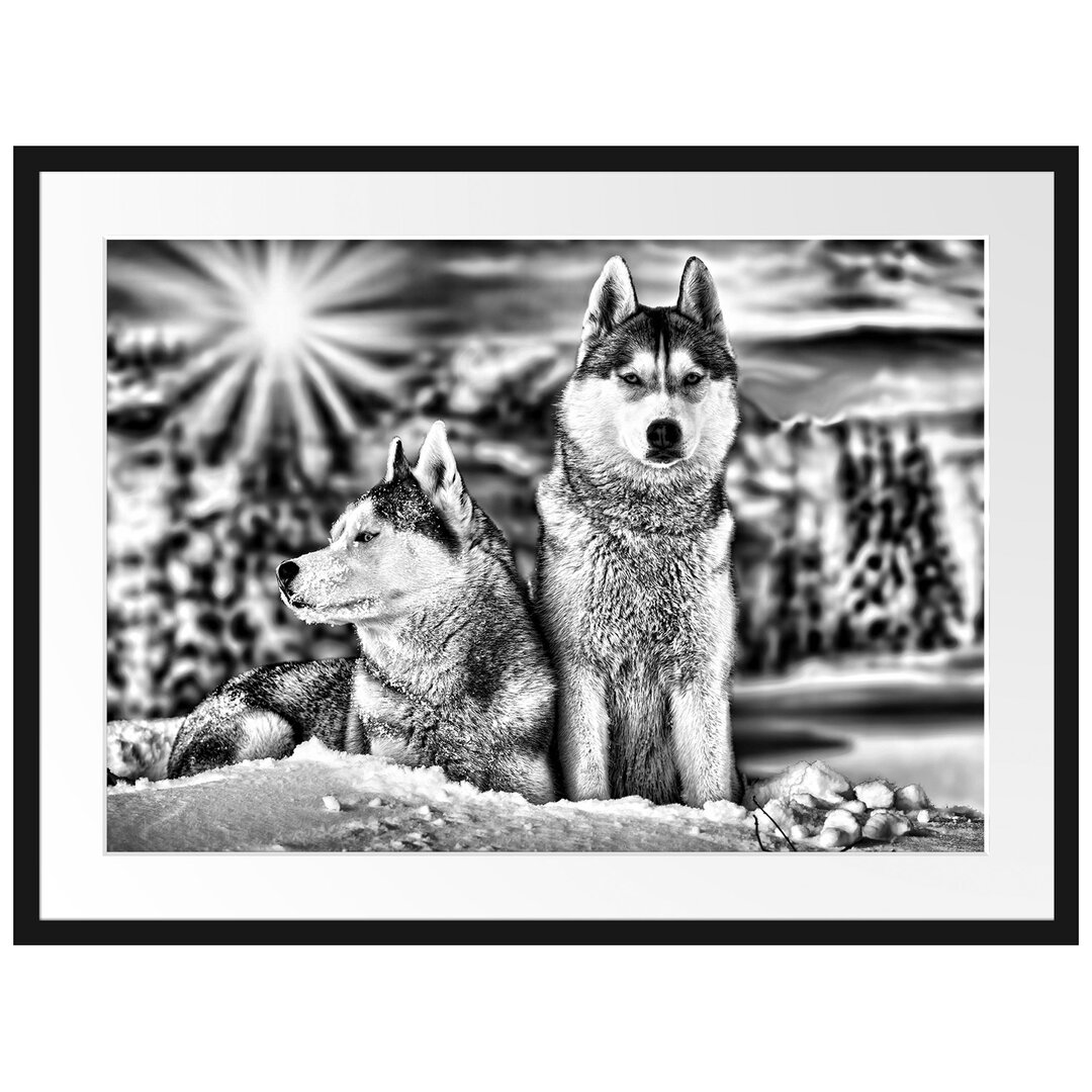 Gerahmtes Poster Zwei wilde Huskies