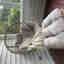 Photos des clients 1 de 1