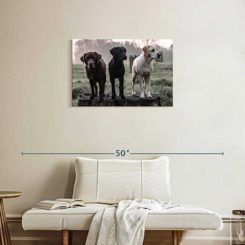 Brampt Labrador Dogs, H 20 po x l 30 po
