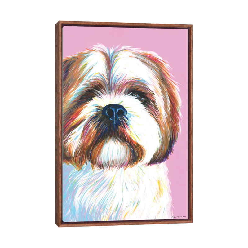 Shih Tzu On Pink by Kirstin Wood - Painting on Canvas, Classic Brown Wood Framed, 101.6 cm H x 66.04 cm W