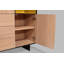Opus Solid Wood Accent Cabinet