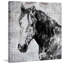 « california cheval » par irena orlov, reproduction d’art sur toile tendue-19145881