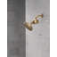 Standard shower filter attachment with filter Clarifi-103146698