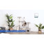 Arbre à chat 54 po Sandston-909174776