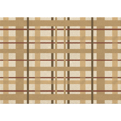 Plaid Indoor Rug