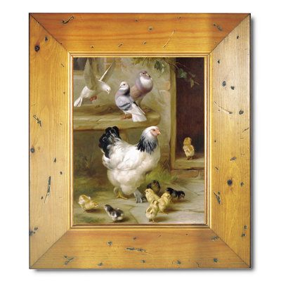 Hen Chicks And Pigeons In Yard - Single Picture Frame Painting on Canvas
