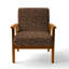 Leopard Fur II - Velvet Upholstered Cabin & Lodge Accent Arm Chair-1582054437