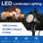 Satin Brass Plug-in Integrated LED Aluminum Spotlight