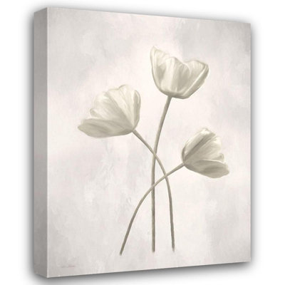«Red Barrel Studio® Deiter, Lori Gallery», art sur toile tendue: tulipes blanchies II