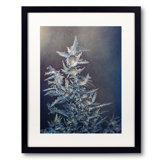 Frost Print by Scott Norris