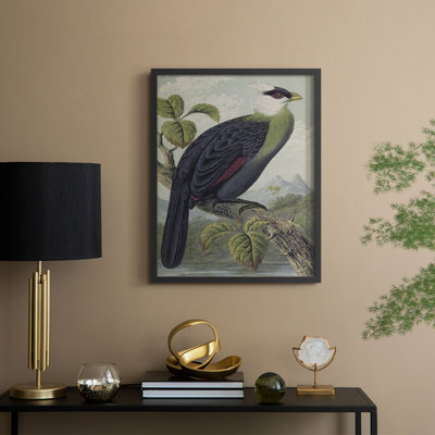 Reproduction encadrée vintage avec imprimé animalier XXXV - bois massif