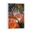 Reaching For Stars by Peter Coskun - Floater Frame Print on Canvas-1389308762-1389308812