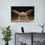 Papillon à antennes dorées - Affiche murale contemporaine-319371999