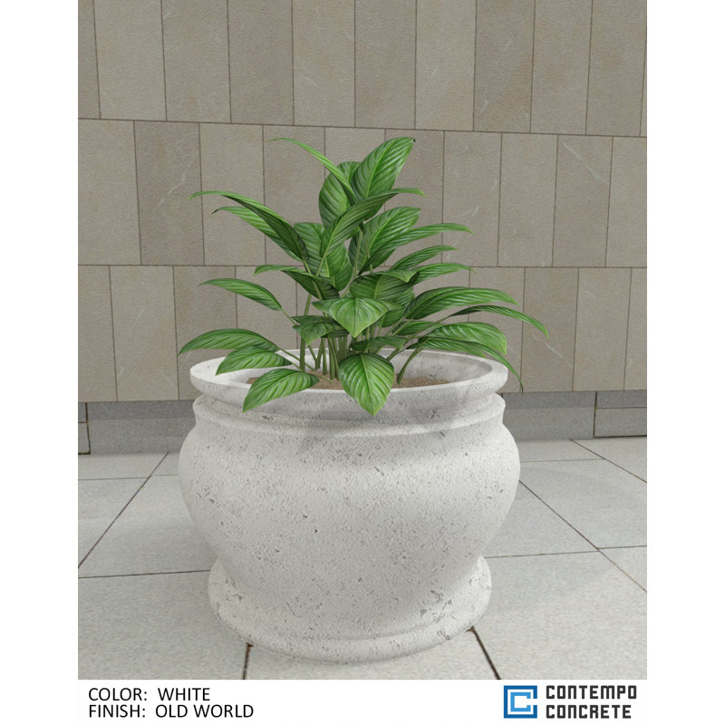 Hazel Planter, Old World White