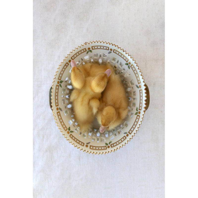Floradanica With Ducklings by Tania Soderman - No Frame Print on Canvas, 46cm H x 30cm W x 3.8cm D