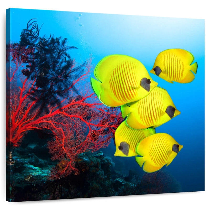 Brampt Coral Reef Fish, 24" H x 24" W