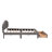 Teddy Fleece  Upholstered Platform Bed with Drawer