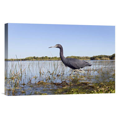 Little Blue Heron Fishing Tapestry by Natural Focal Point