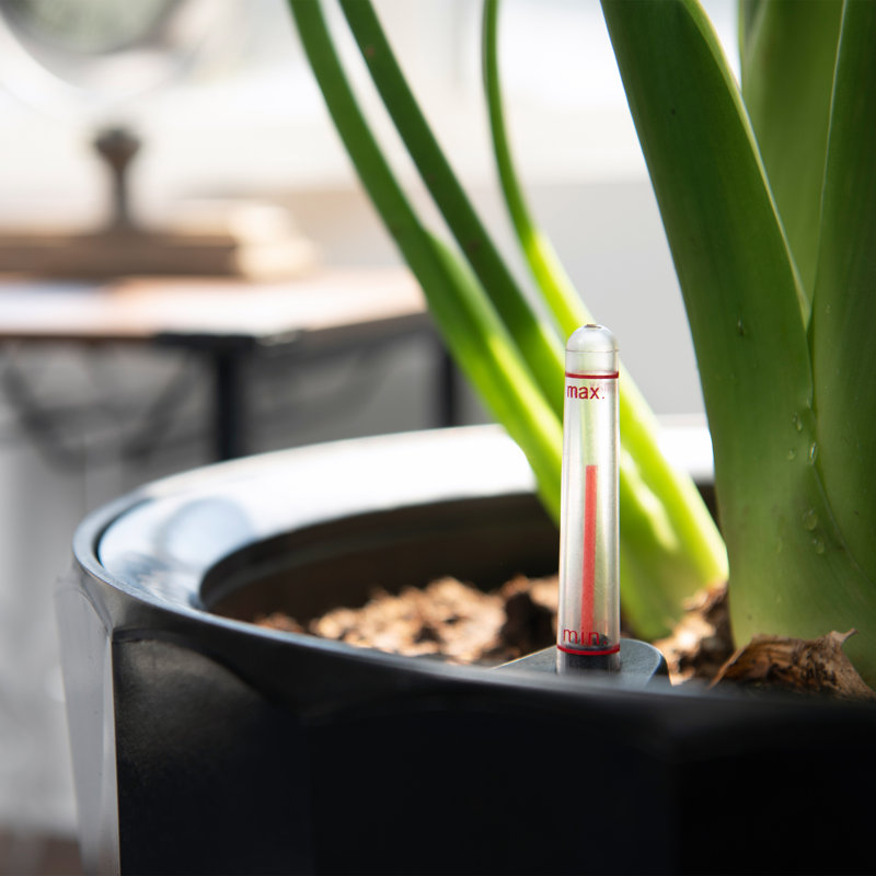 Self-Watering Pot Planter