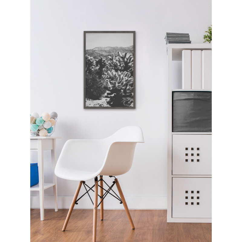 Chollo Cactus 1 Piece Single Picture Frame Wall Art, 91cm H x 61cm W x 4cm D
