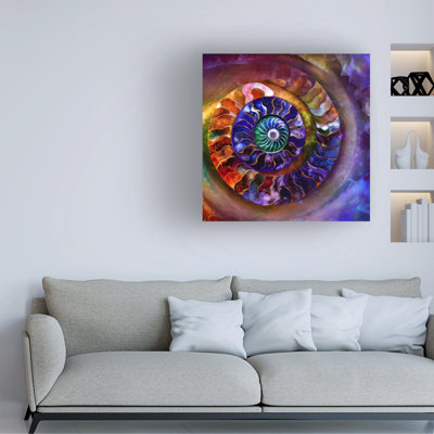 Art sur toile bol bol Tina Lavoie Nautilus VI