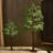 4FT Lighted Artificial Small Pine Tree