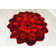 Tapis rouge Vesta