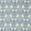 Blue/Coral