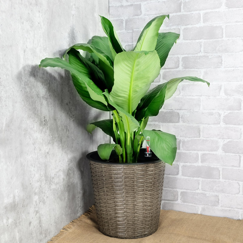 13.4" Natural Self-Watering Planter - Indoor & Outdoor Decor Easy To Assemble Move With System Stable Simple Assembly Steps
