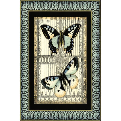 Small Butterfly Fancy II by Vision Studio - Wrapped Canvas Print